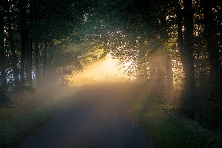 Ochtendzon Hoge Boekel